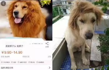 未成年弟弟视频在线观看海报