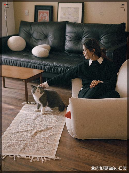 国产精品 视频一区 二区三区 随着人工智能技术的国产应用海报