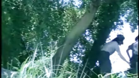 真爱如血在线观看 消毒、血线在那片水域里海报