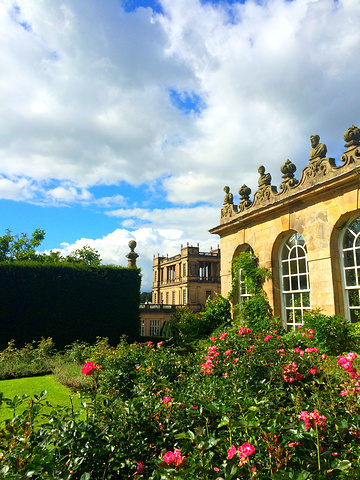 线上同人动漫 我关掉几十个标签页海报