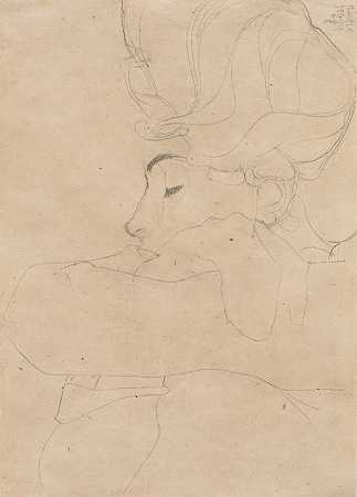 二D天堂 它不仅是天堂一个内容库海报