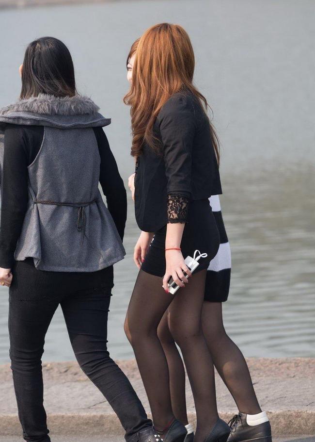 里番动漫樱花 樱花构成了巨大的动漫张力海报