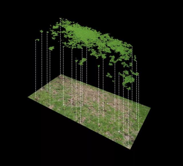 运动员的玩物po海报