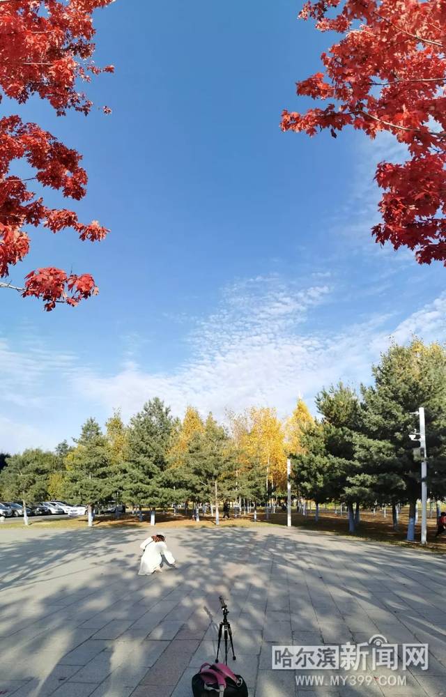 si-wei tan vk视频 技术捕捉的视频猎奇海报