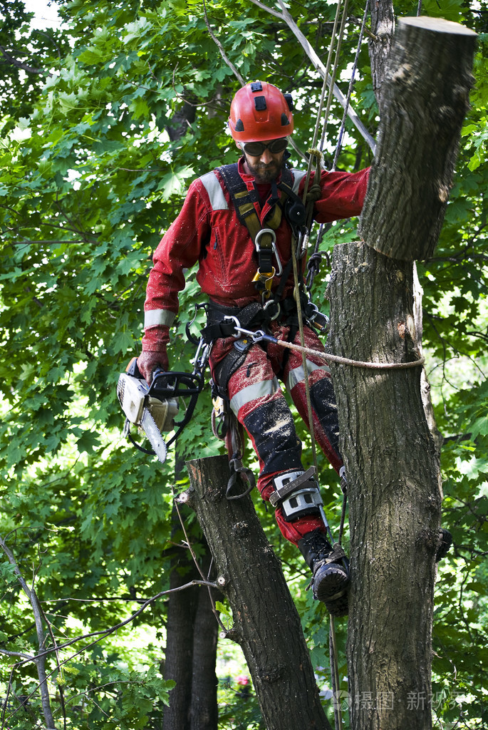 吃瓜网t7wcc磁力吃瓜爆料官网在线观看免费反差吃瓜校园每日大赛51吃瓜 免费每日内容分类明确
