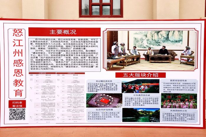 啄木鸟养女家庭的秘密海报