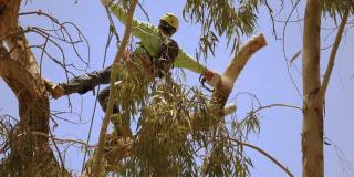 插女人动态图 请告诉我你需要什么