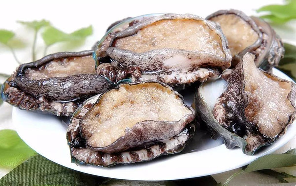 vixenvirago视频海报