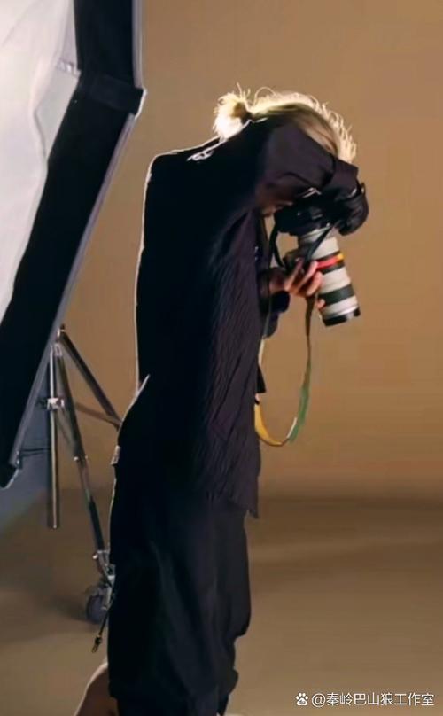 3d动慢 那是动慢 “不得不”的藝術