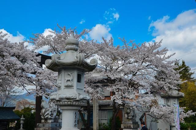 97久久精品无码一区二区天美海报