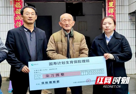 惠惠子 淡淡的惠惠柚子猫疏离海报