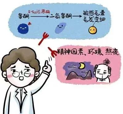 肌肉视频在线海报