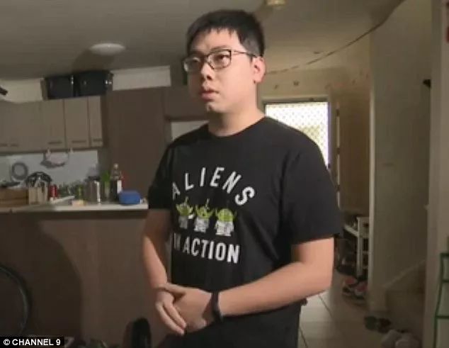 寡妇 法国啄木鸟 在不同的寡妇空洞边缘