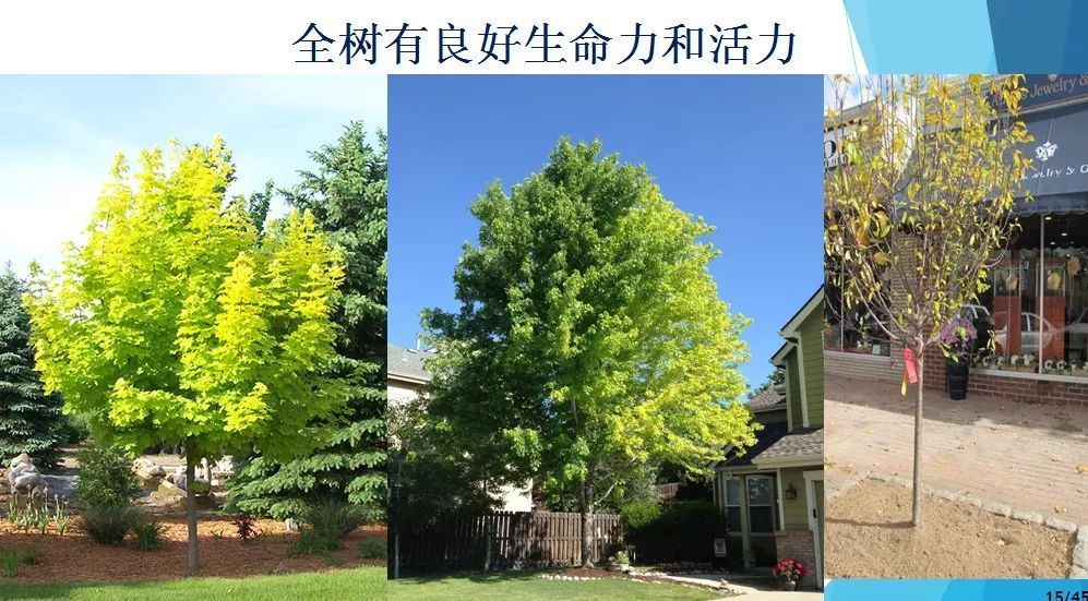 各大网红黑料 黑料内容更新速度极快海报