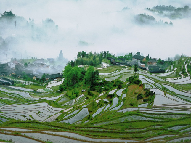 日韩精品无码AV国模海报