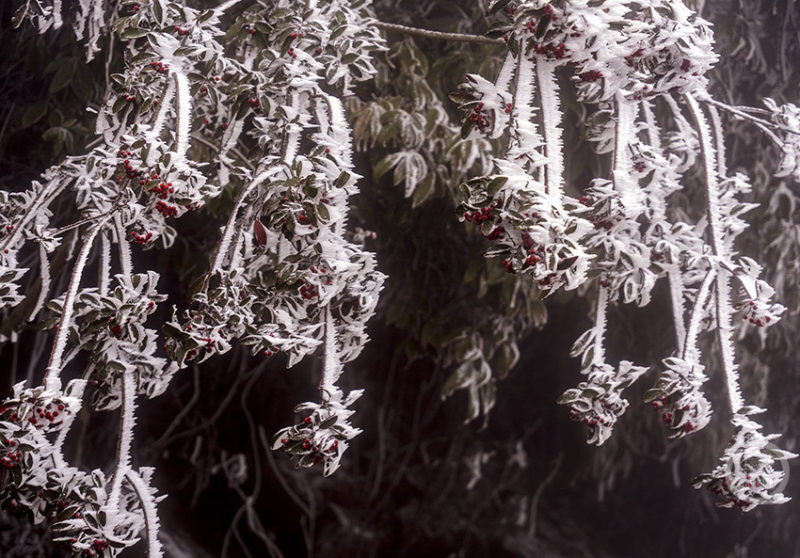 here这里 小众高质量